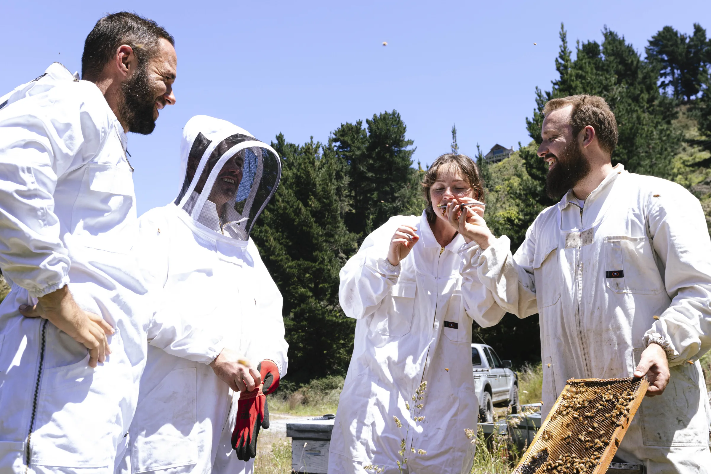 Honey Experience