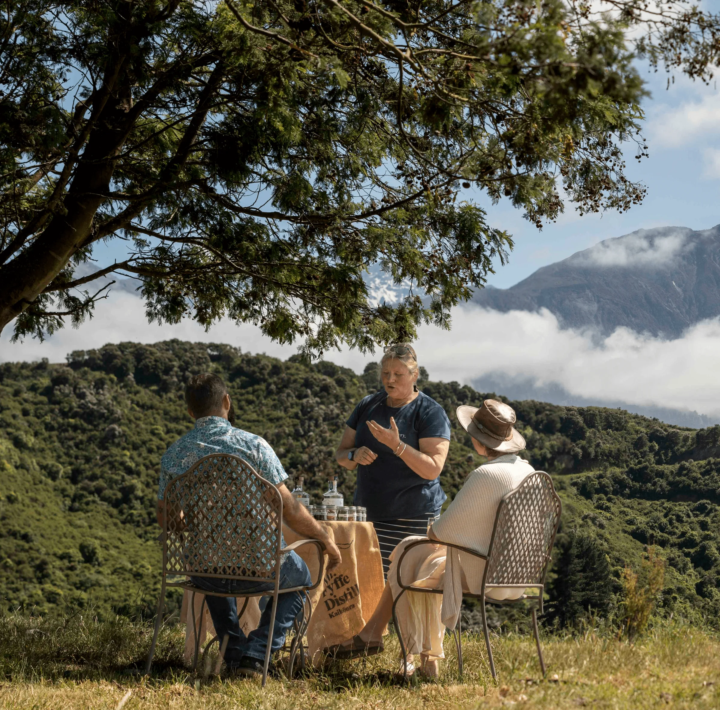 Picnic In The Pines