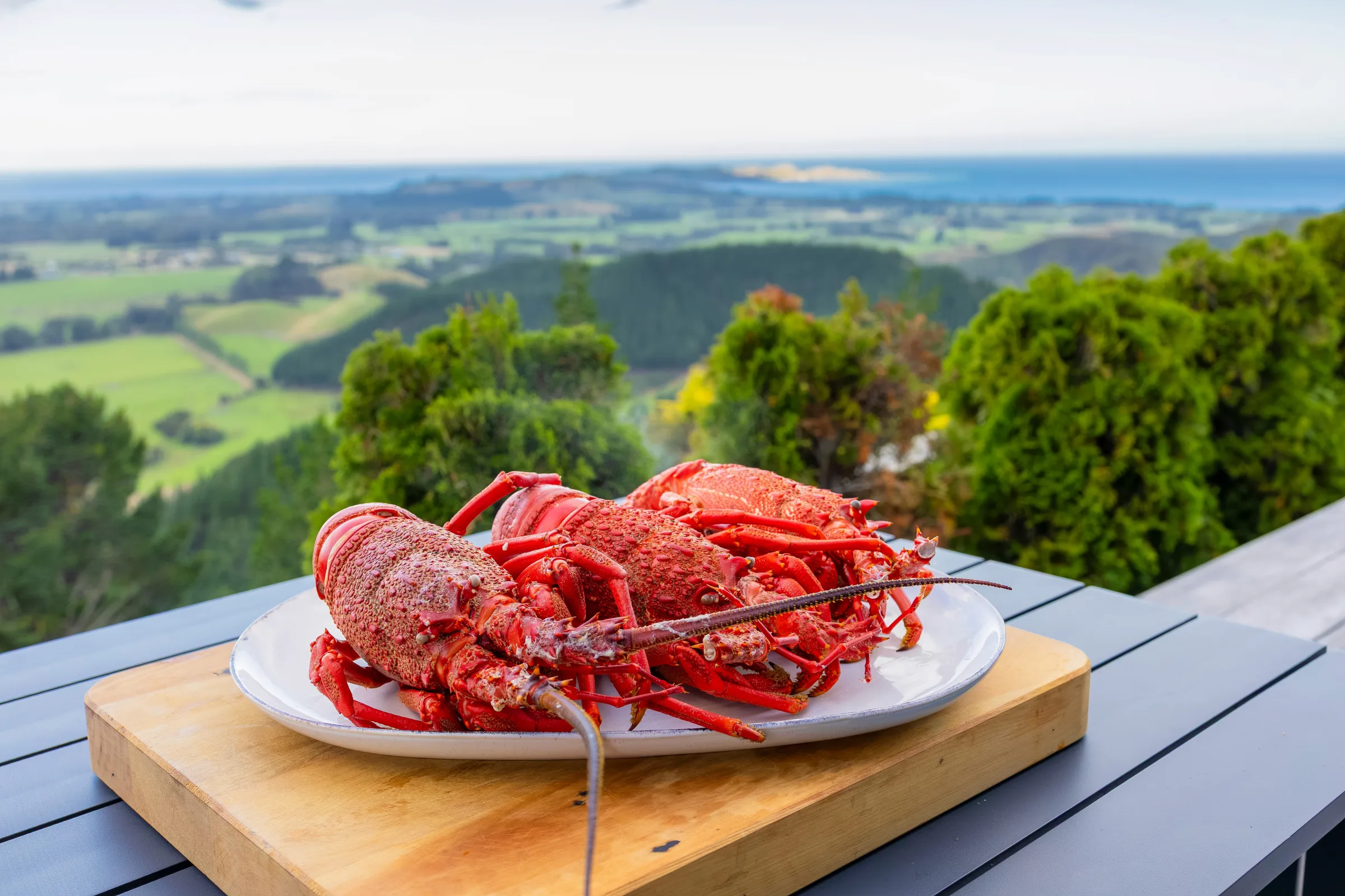 Catering at Ata Rangi Lodge